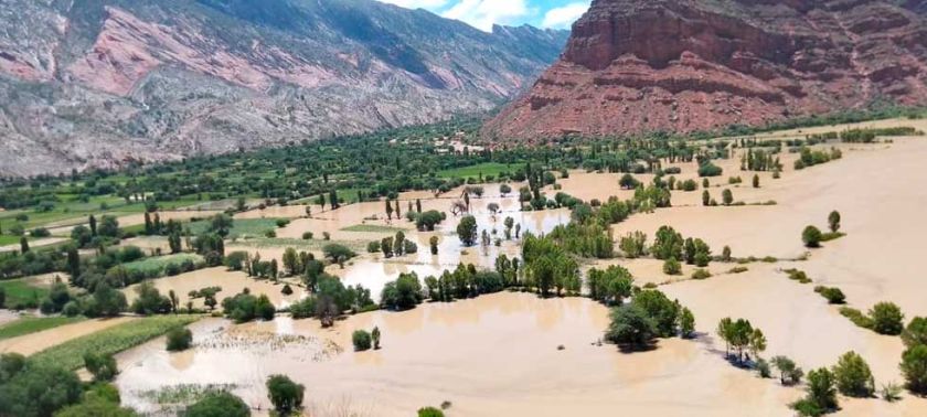 Mazamorra destruye 90% de la producción de maní