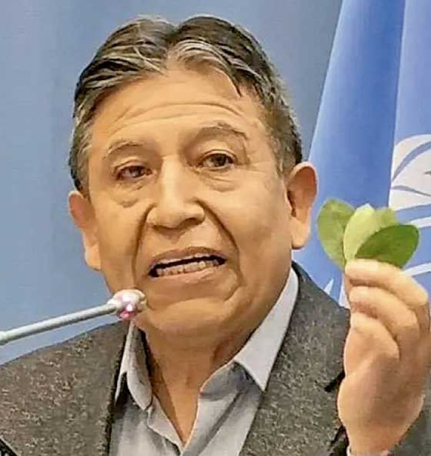 Bolivia busca terminar con la prohibición global de la hoja de coca