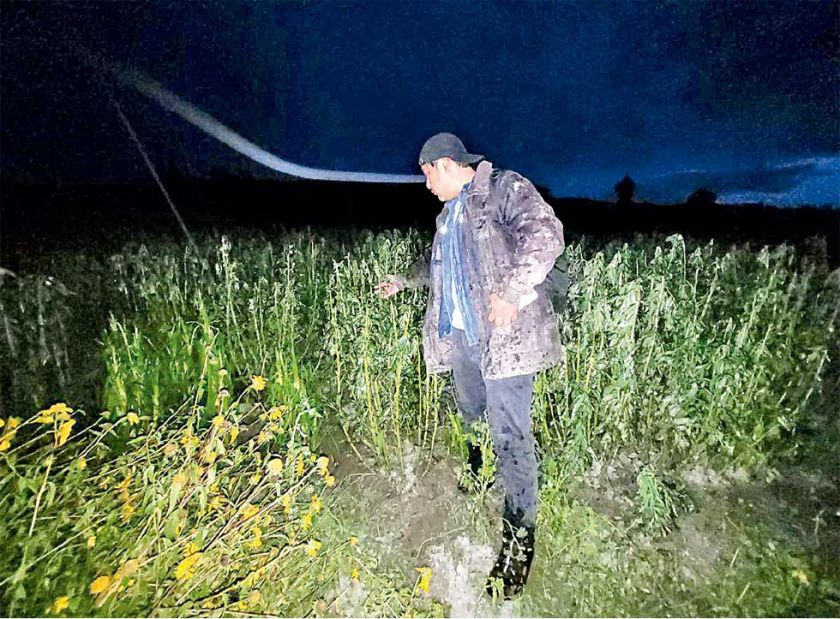 Riada arrasa 70 hectáreas de cultivos en San Lucas