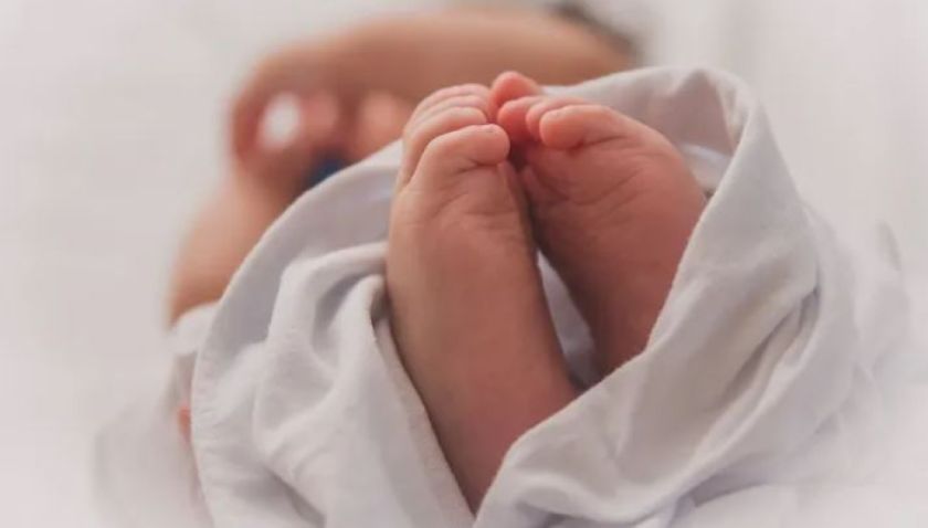 Hospitales recibieron a censistas y nuevos bebés: 40 nacimientos en Bolivia