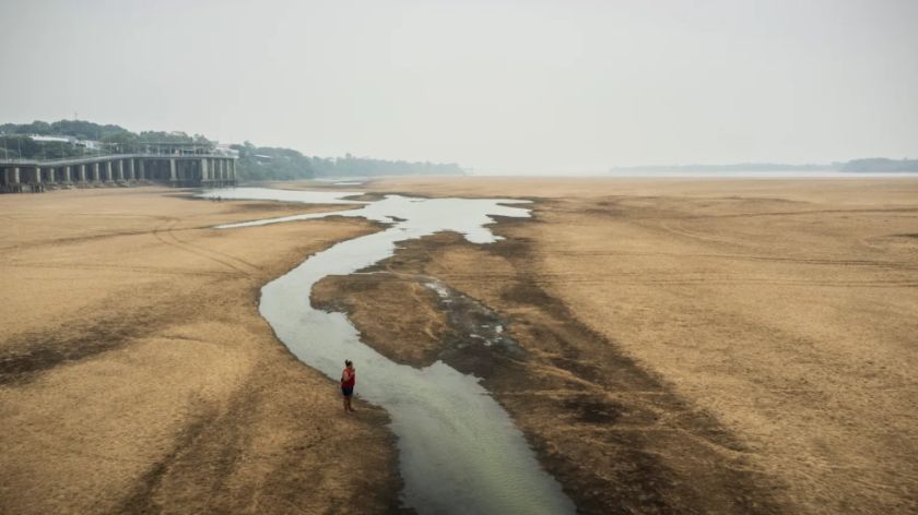 La sequía en la Amazonía brasileña reduce el caudal del río Branco a mínimos históricos