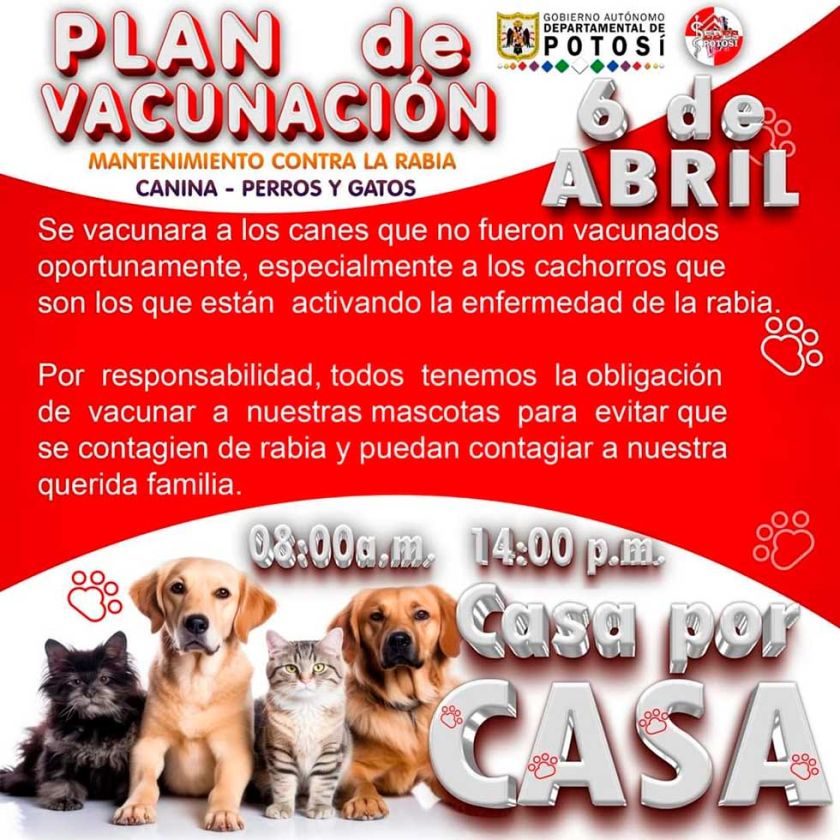 Cerca de 3.500 perros no están vacunados en Potosí