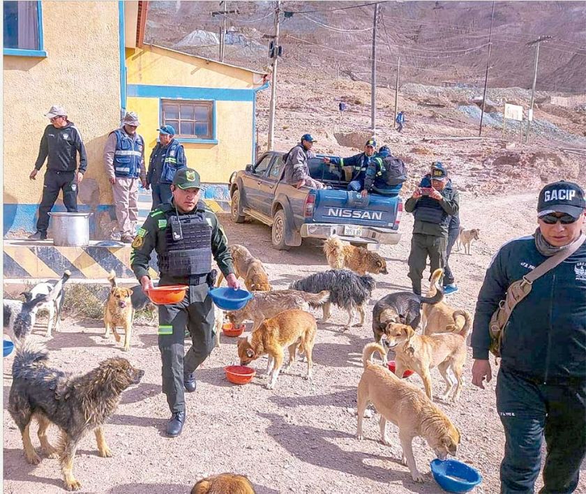 Policías alimentan a los "guardianes" del Cerro Rico de Potosí