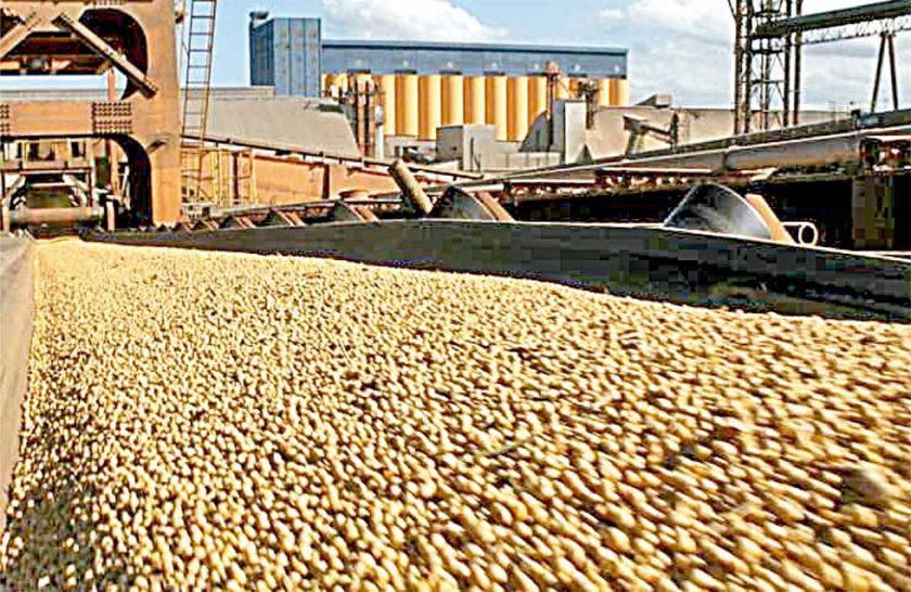 Realizarán una devolución impositiva a exportadores