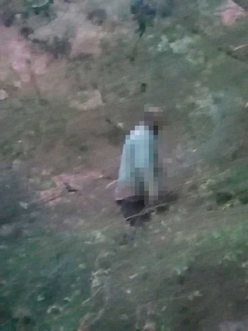 Perro descubre cadáver  de un hombre colgado