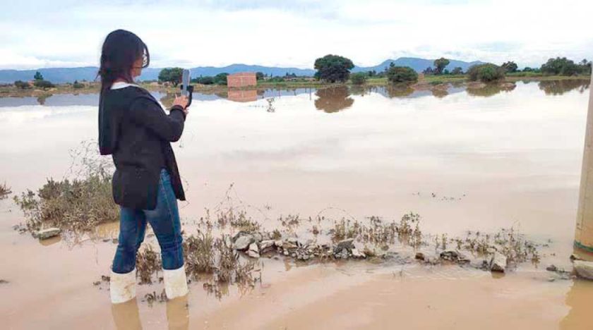 Más de 200 mil hectáreas de cultivos fueron afectadas por desastres en el país
