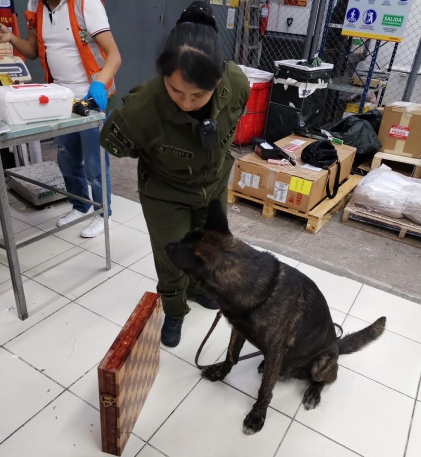 Santa Cruz: Perro Petardo detecta más de 11 kilos de cocaína escondida en un tablero de ajedrez que iba a España