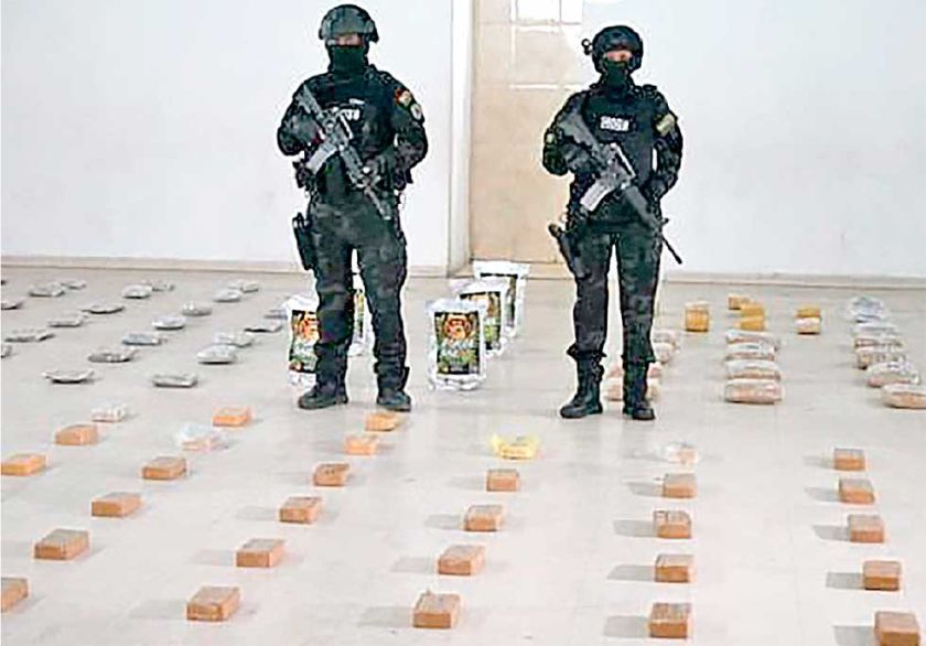 En casi cuatro meses, Felcn  decomisa 20 tn de cocaína