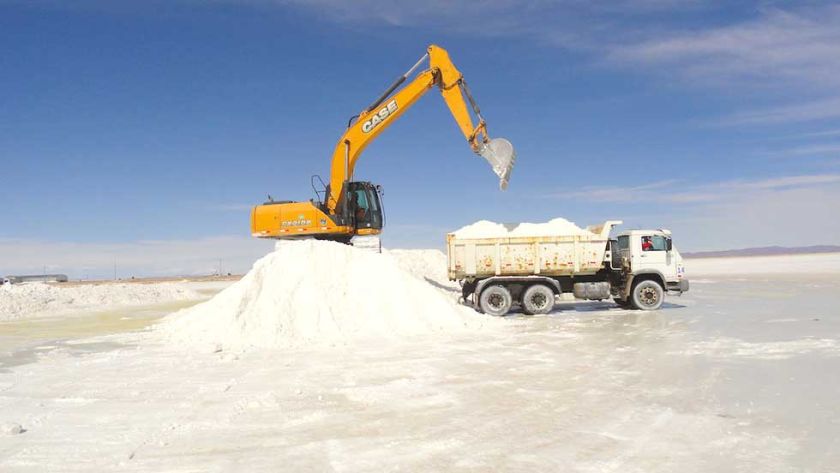 YLB proyecta ingresos por más de Bs 500 millones para este año