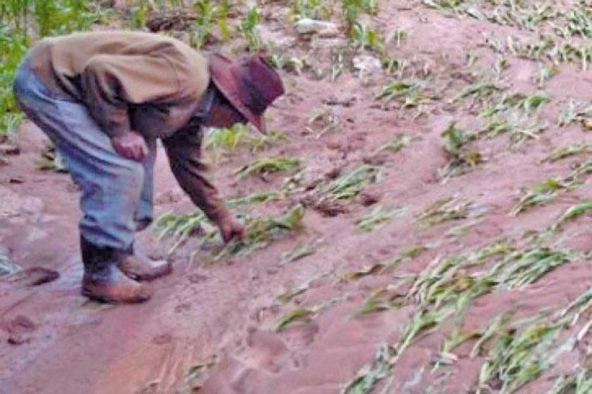 Desastres naturales afectan a 1.000 familias en Macha