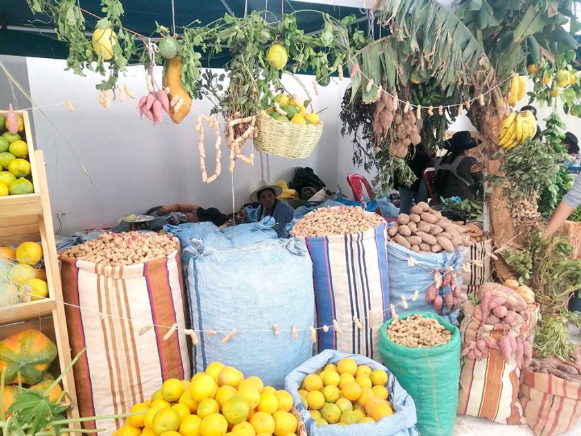Más de 2.500 productores son parte de feria productiva