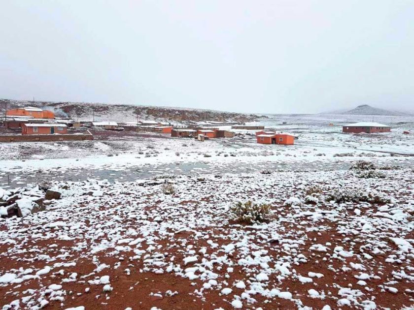 Llegan las nevadas y proyectan la protección de los animales en el sudoeste
