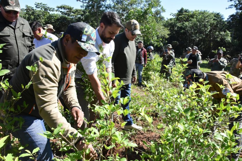 Declaran al Parque Amboró “libre de cultivos de coca” y alistan reforestación