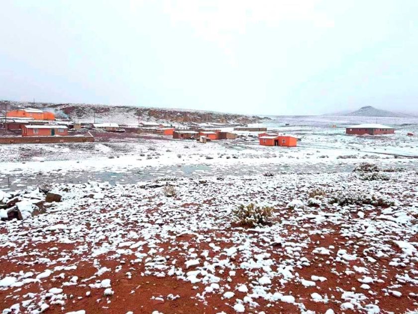 Toman previsiones para evitar la muerte de ganado por las heladas