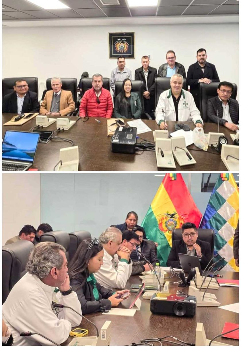 Proponen mejorar estudio para que la renta no se calcule hasta los 110 años