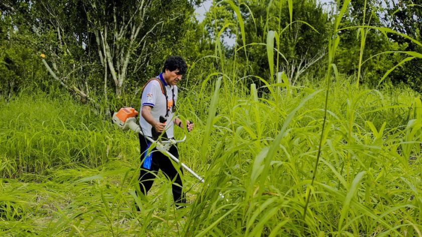 Evo vuelve a denunciar sin pruebas; dice que helicóptero sobrevoló su “chaco” para lanzar droga