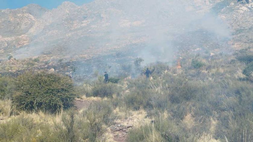 Policía controla un incendio forestal en una comunidad