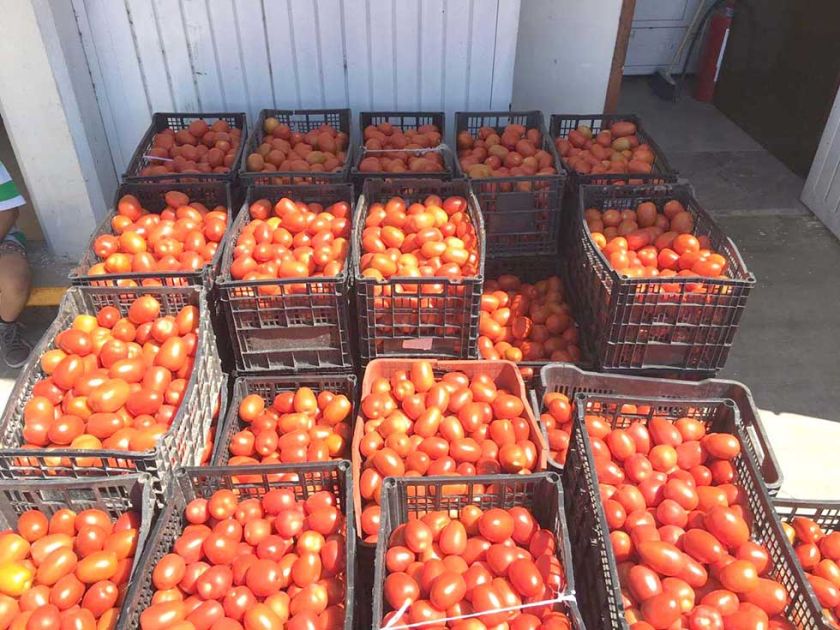El Gobierno asegura que frenó la especulación y el precio de alimentos se estabiliza
