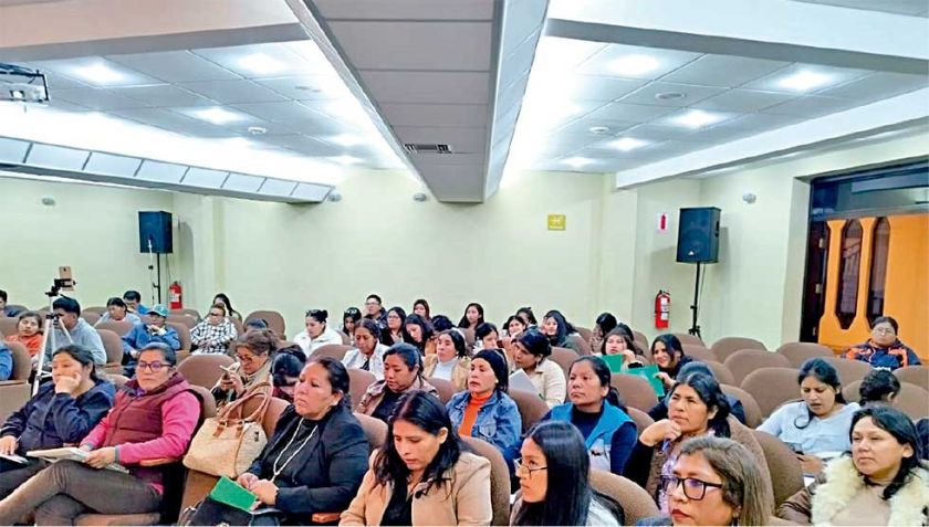 Mujeres activistas rechazan modificaciones a la Ley 348