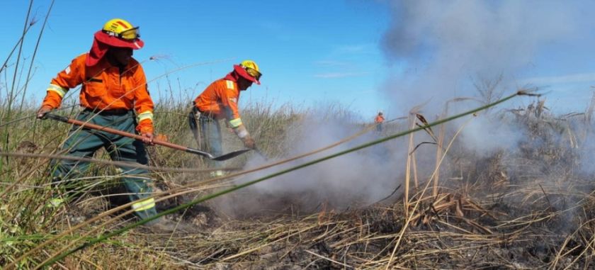 Confirman dos incendios forestales en Santa Cruz y piden investigar las causas