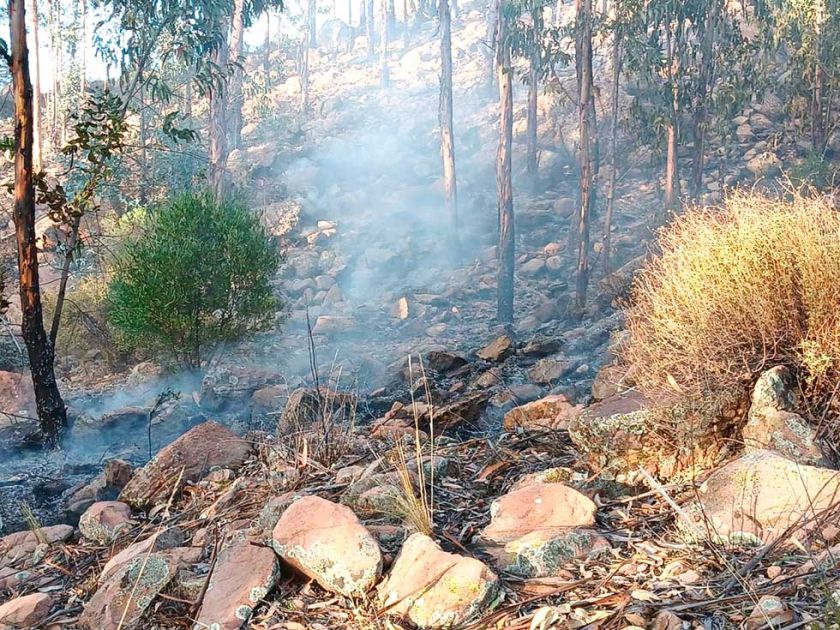 Niños provocan incendio de gran magnitud en Betanzos por combatir el frío
