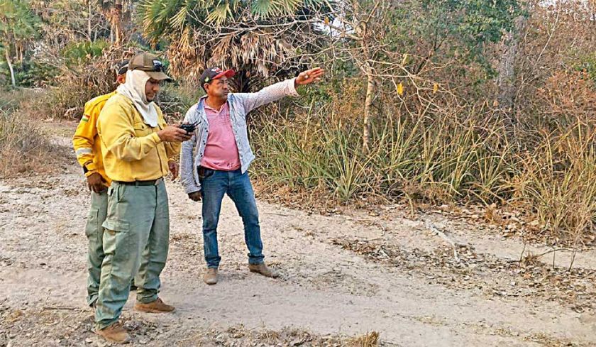 Están activos una decena de incendios forestales 