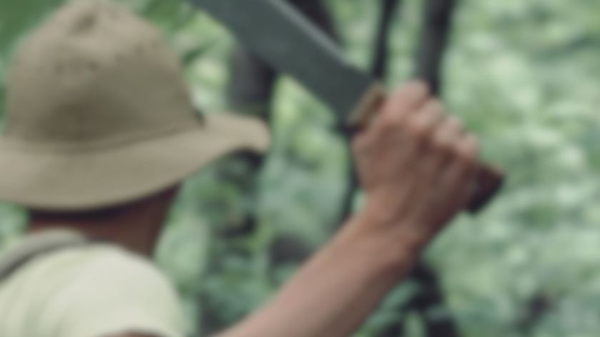 Buscan a un hombre acusado de matar a su suegro con un machete