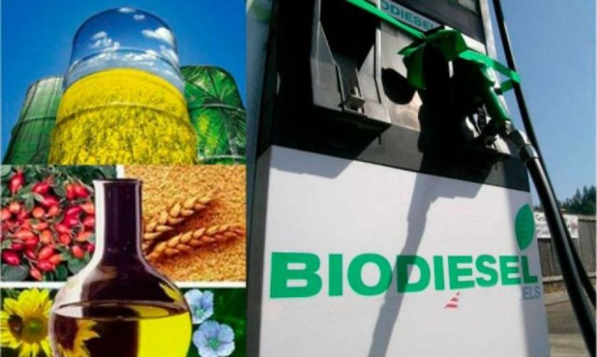 Reportan que la construcción de la planta de biodiésel de El Alto tiene un avance del 56%