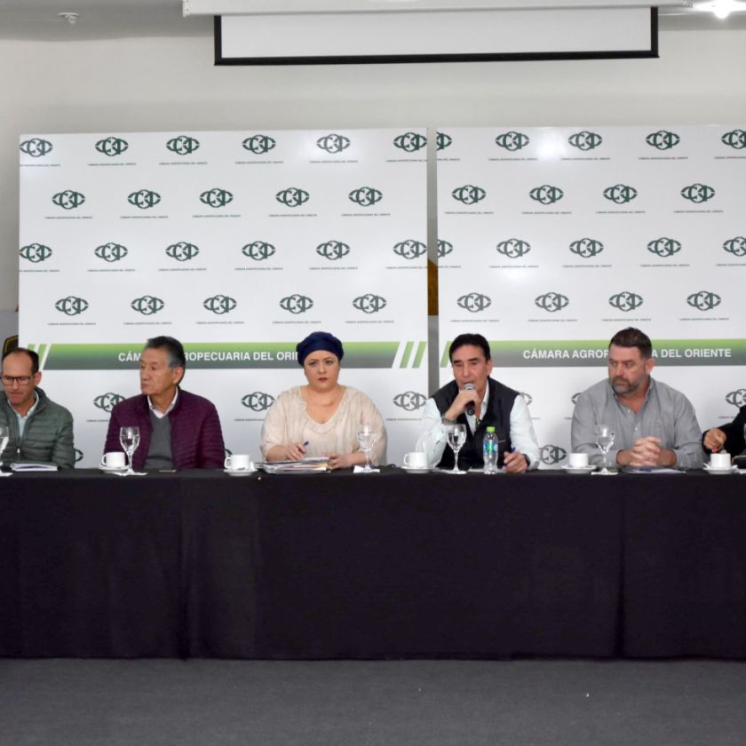 Presidente Arce presidirá este sábado el gabinete agropecuario en Santa Cruz
