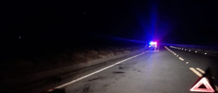 Hallan un cadáver destrozado en la carretera hacia el municipio de Ck'ochas