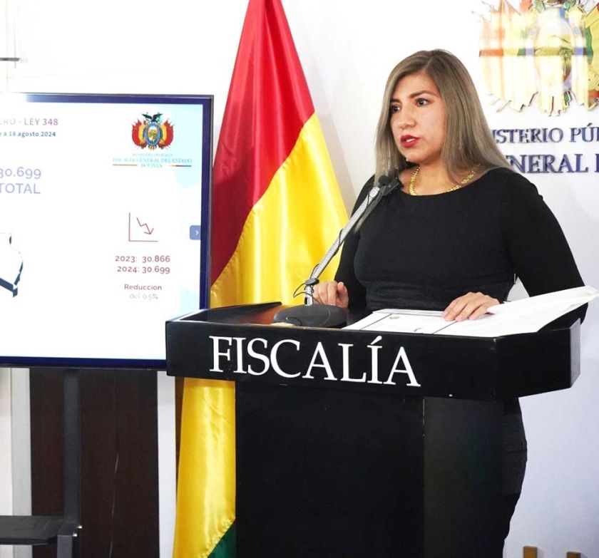 Potosí ocupa quinto lugar en incidencia de violencia