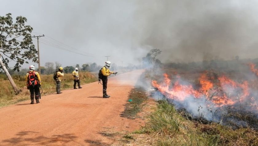 Activan 43 procesos penales por incendios forestales; solo una persona está detenida