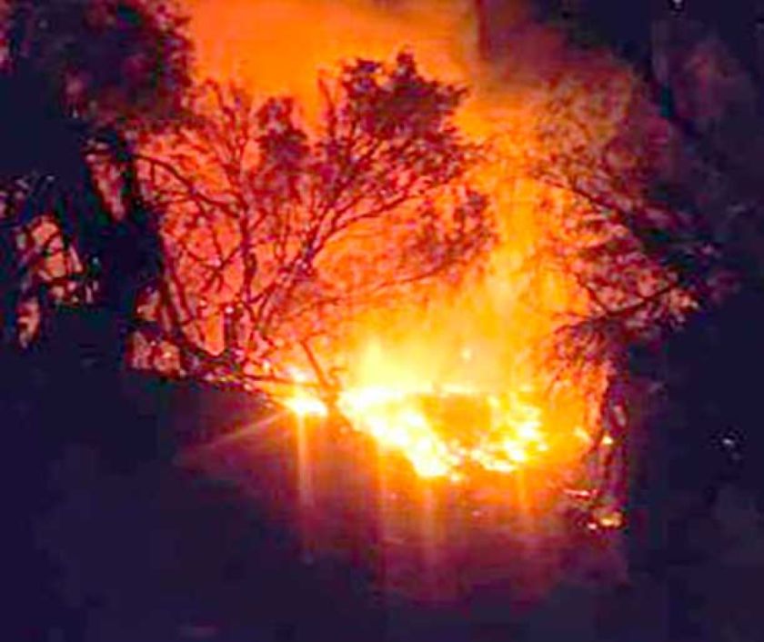 Incendio forestal causa  muerte de animales y destruye 23 hectáreas