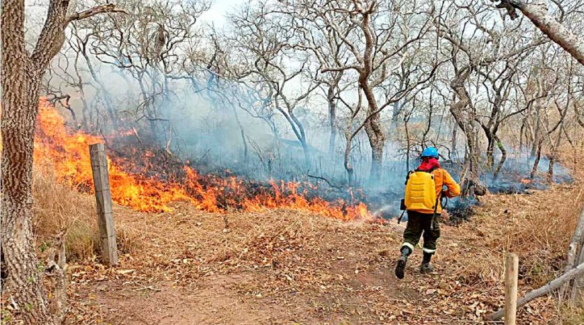 Logran sofocar incendio forestal en San Matías