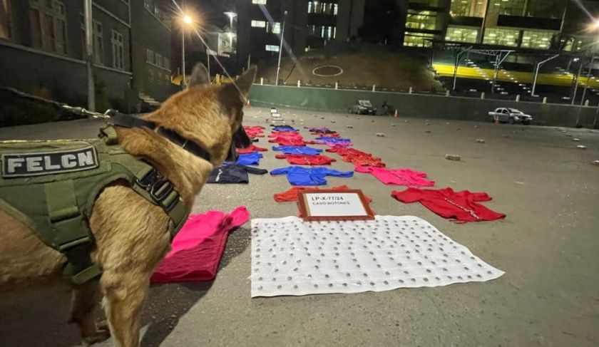 Secuestran droga oculta en zapatillas y botones de blusas en La Paz