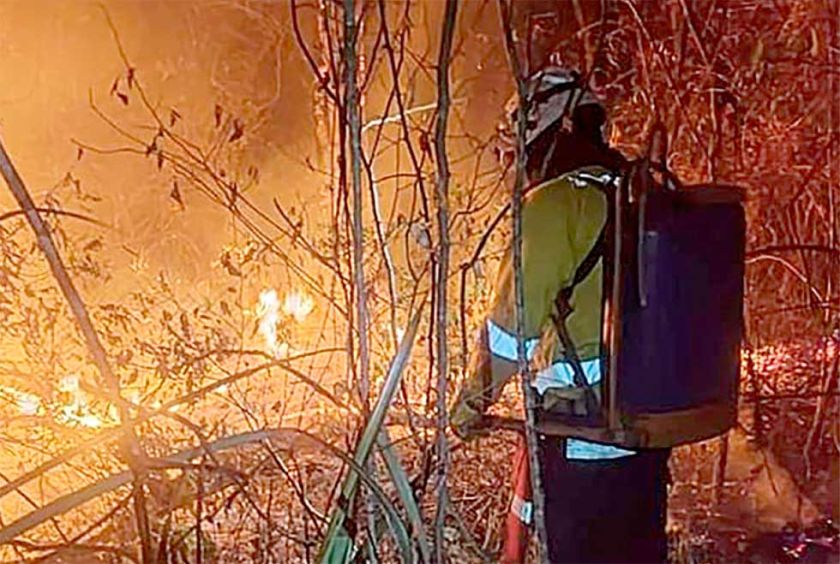 Incendios ya devastaron 4 millones de hectáreas de superficie en Bolivia