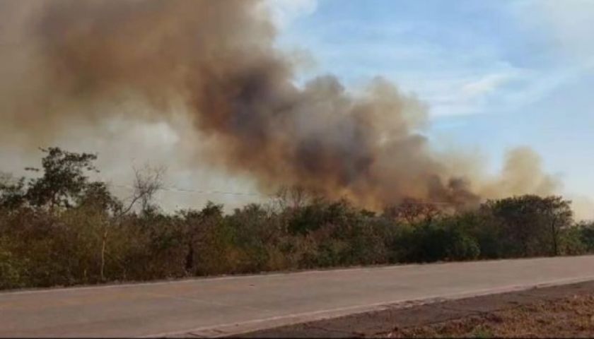 Reportan 74 incendios activos en Santa Cruz y 3,3 millones de hectáreas quemadas