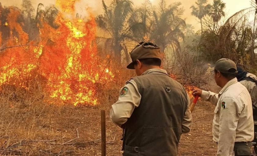 Ante incendios, Gobierno prepara ley para dar protección jurídica a áreas forestales