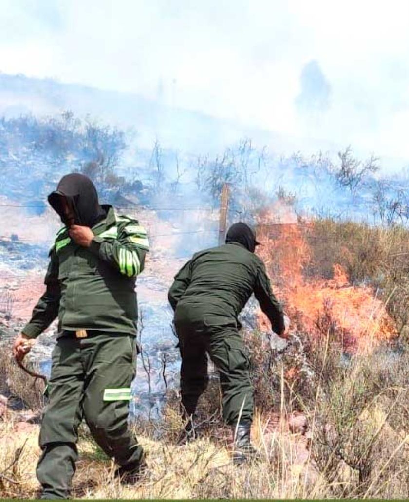 Controlan el incendio que se propagó en Churrillos