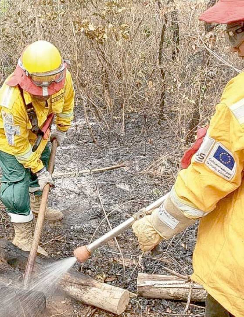 CAO: El 78,4% del fuego se genera en tierras fiscales