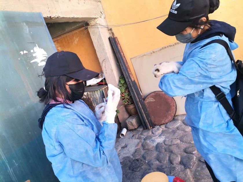 Vacunarán casa por casa por 10 días desde el lunes