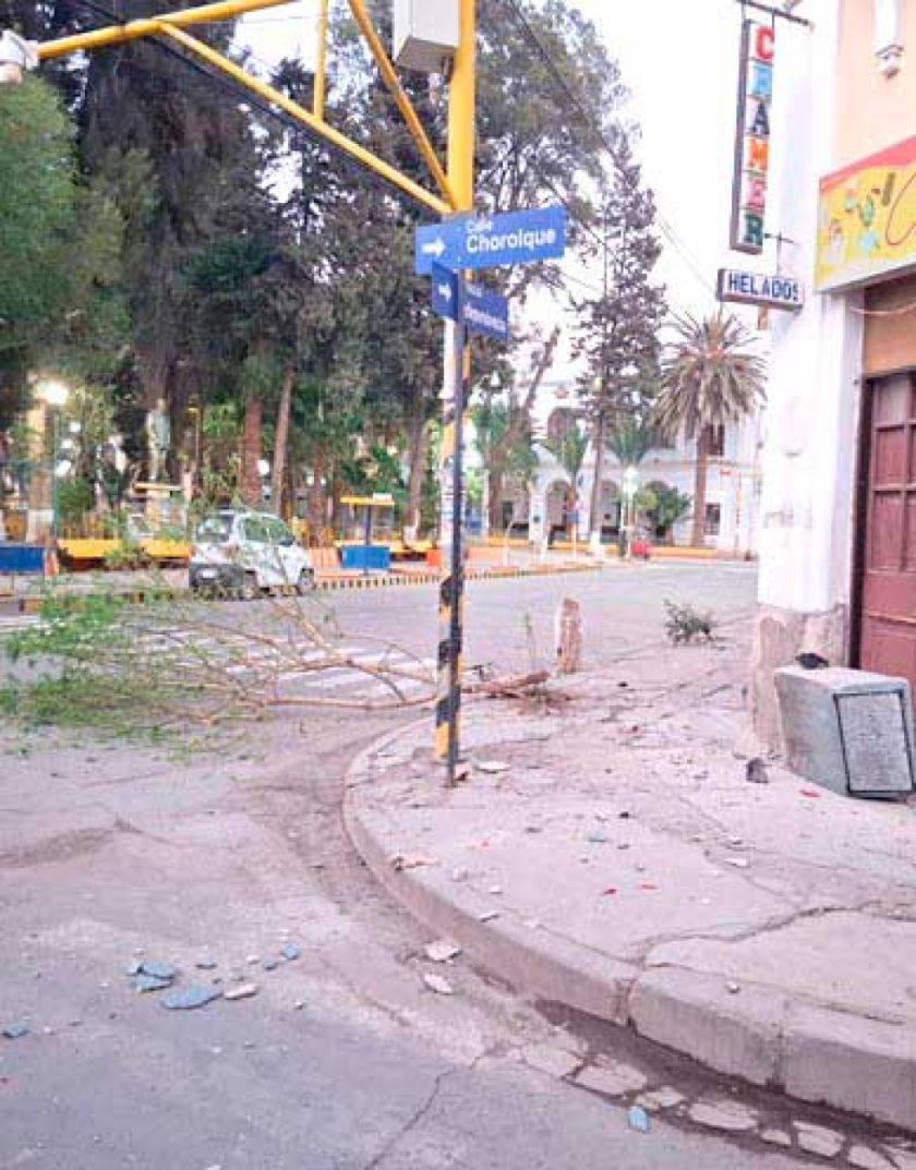 Mujer ocasiona destrucción del ornato público en Tupiza