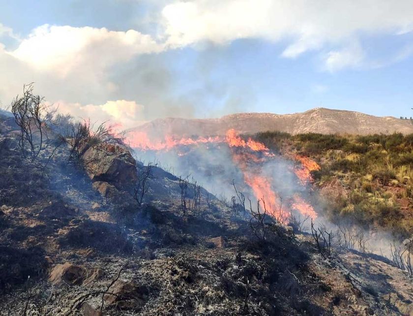 Vuelven a reportar un incendio forestal 