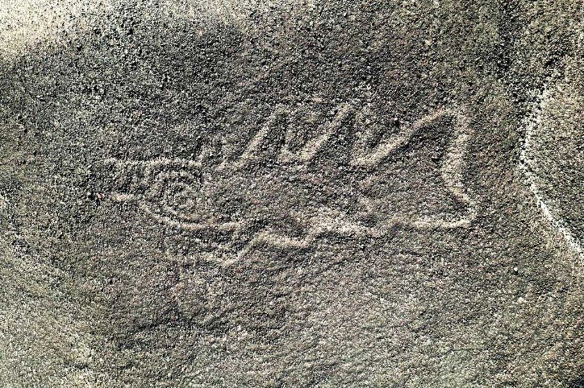Identifican nuevas figuras en Nazca gracias a la IA