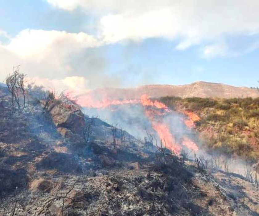 Policía insta a comunicar sobre incendios