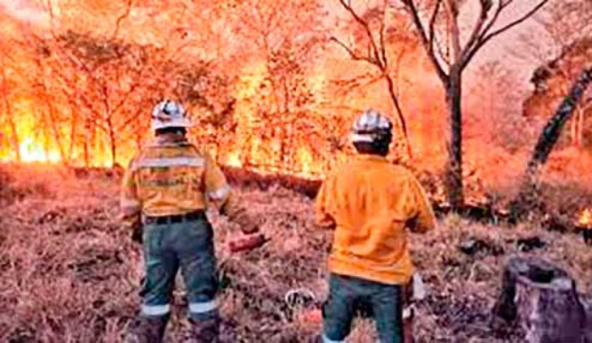 Luchan contra incendios que se acercan a Monte Verde