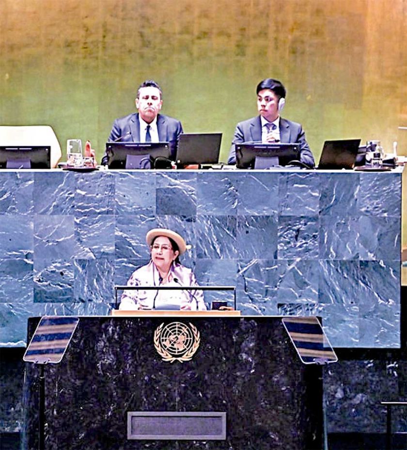 Ante la ONU, Gobierno ratifica denuncias contra Evo Morales