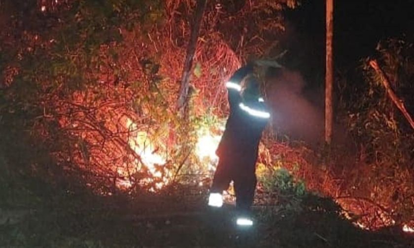 Envían a Palmasola a tres personas por provocar incendios en la reserva Bajo Paragúa