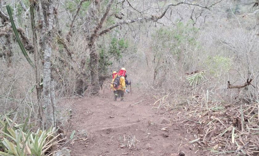 Oposición ve ‘tardía’ la declaratoria de desastre por los incendios en el país