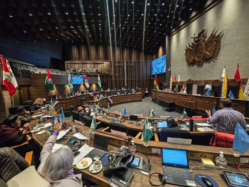 Senado afirma que no tiene ningún crédito pendiente relacionado a los incendios